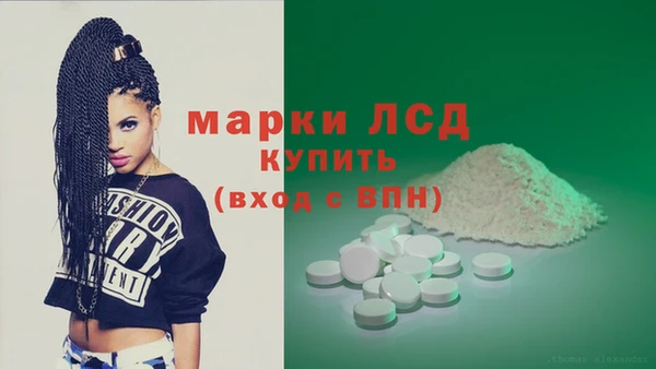 гашик Алзамай