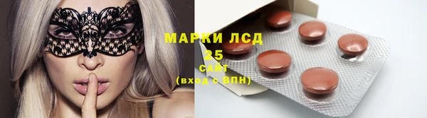 PSILOCYBIN Абаза