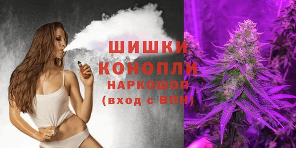 PSILOCYBIN Абаза