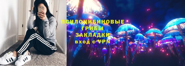 гашик Алзамай